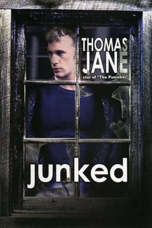 Постер Junked